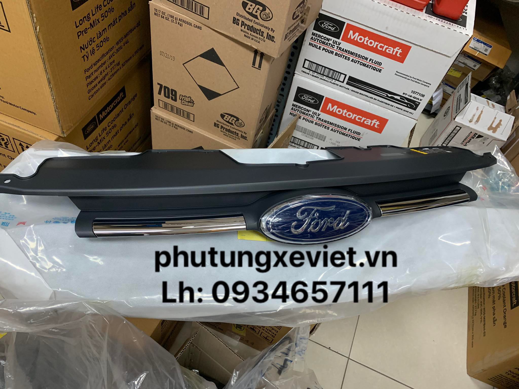 Ca lăng Ford Tourneo (mặt lạ Ford Tourneo)