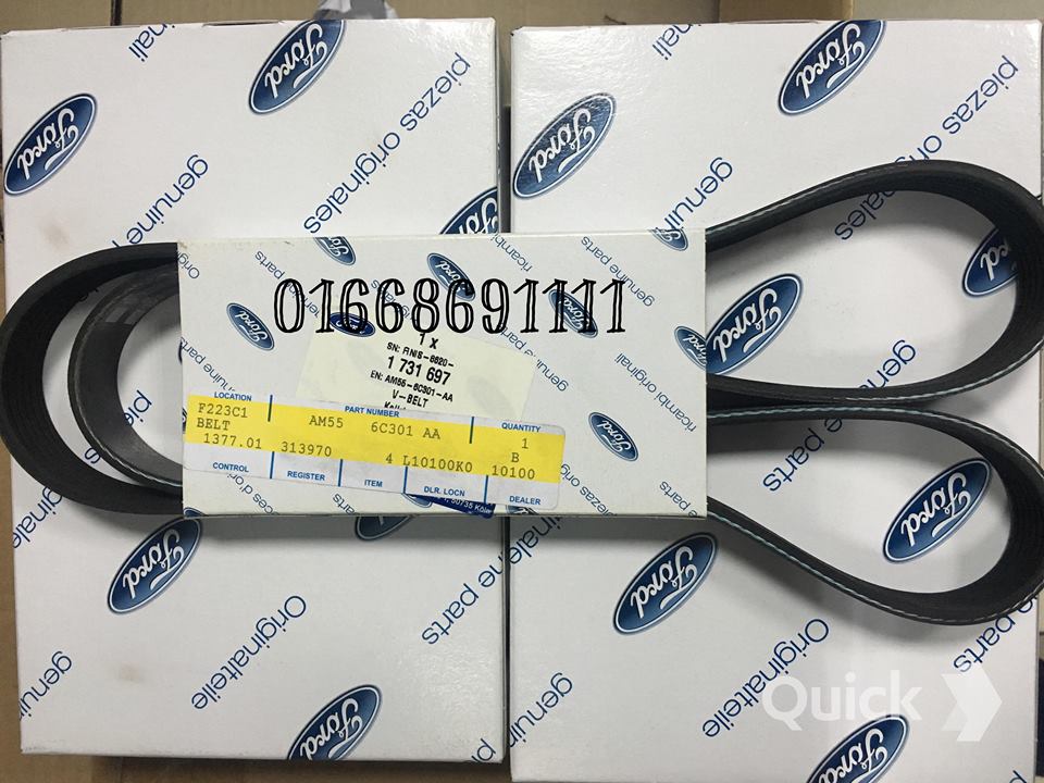 Cu roa máy phát xe Ford Focus – 3M5Q6C301AAMC / AM556C301AA