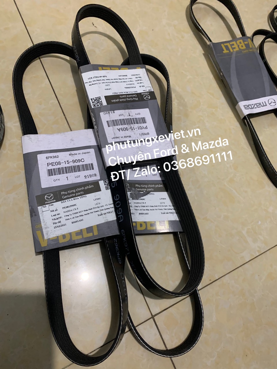 Curoa tổng Mazda CX5 / PE0815909C / 6PK962 (cu roa tổng CX-5)