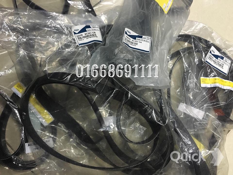 Dây cu roa tổng Ford Everest 2.2 & 3.2 – FB3Q6C301GA / AB396C301AB / AB396C301CB / FB3Q6C301GA / FB3Q6C301JA