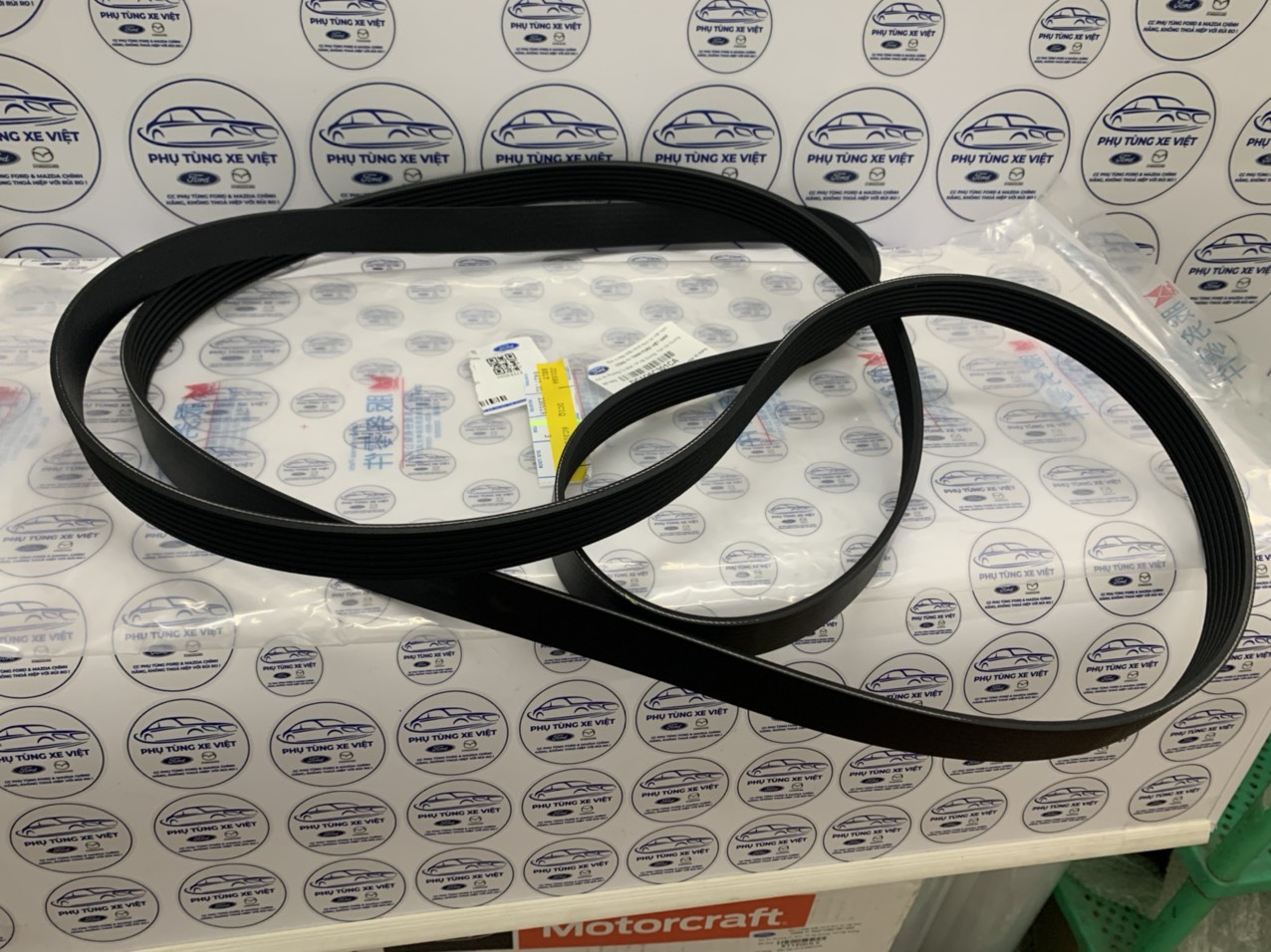 Dây đai tổng, curoa tổng Ford Transit 2022 DC1Q6C301CA DC1Q-6C301-CA 7PK2920