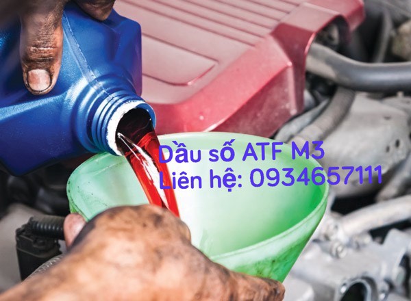 Dầu hộp số (dầu số) tự động Ford Mondeo (2008, 2009, 2010, 2011, 2012, 2013)