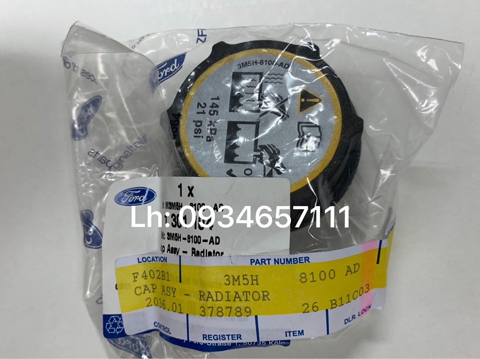 Nắp bình nước phụ (bình nước phụ) Ford Focus (2005-2012)