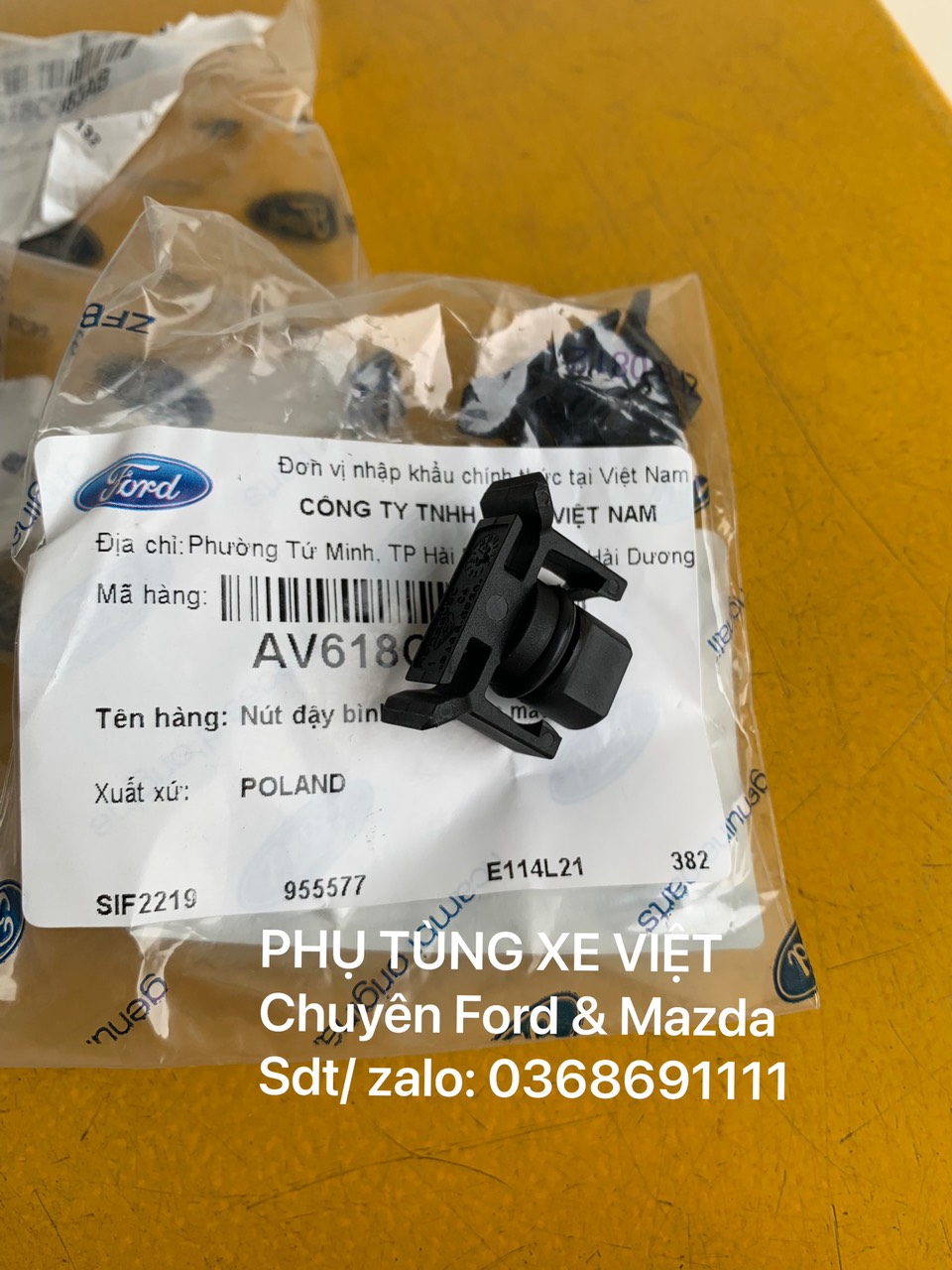 Nút bịt bình nước phụ Fiesta EcoSport AV618C083AB AV61 8C083 AB