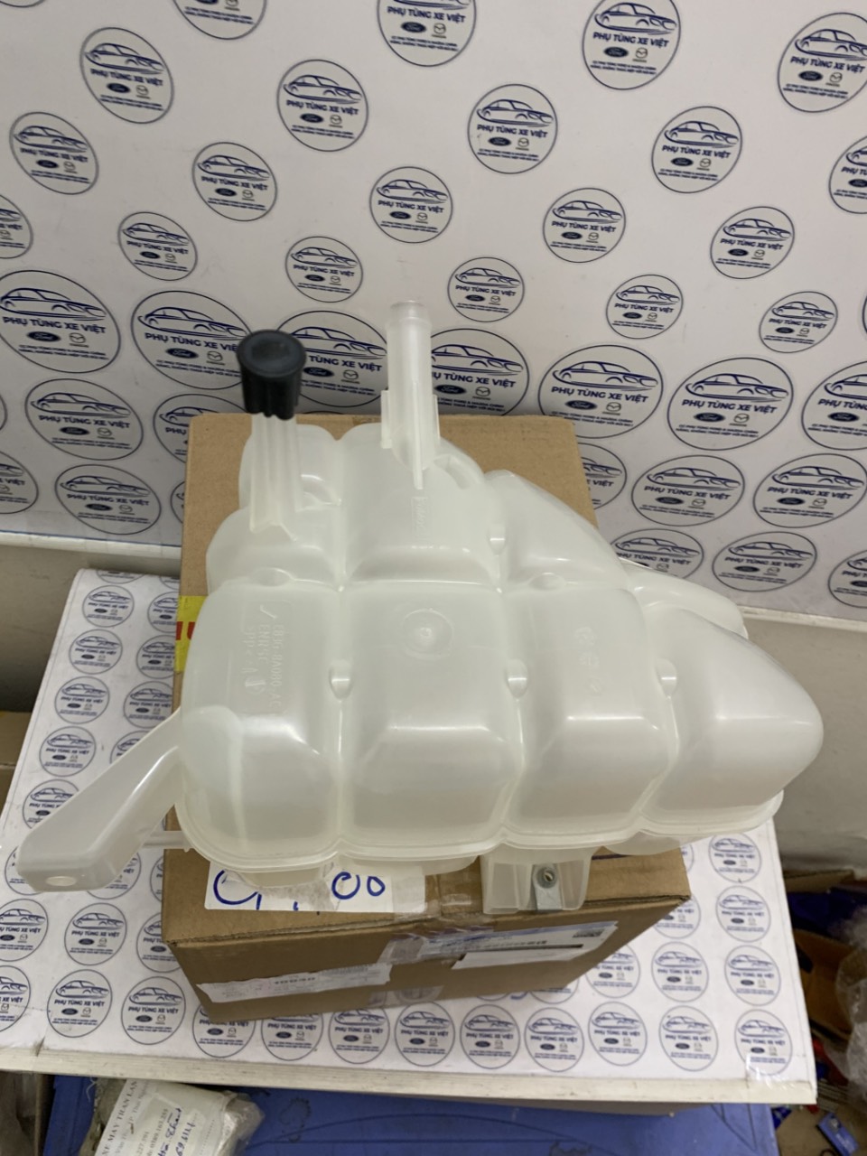Bình nước phụ Ranger 2018 19 20 21 EB3Z8A080A EB3G8A080A